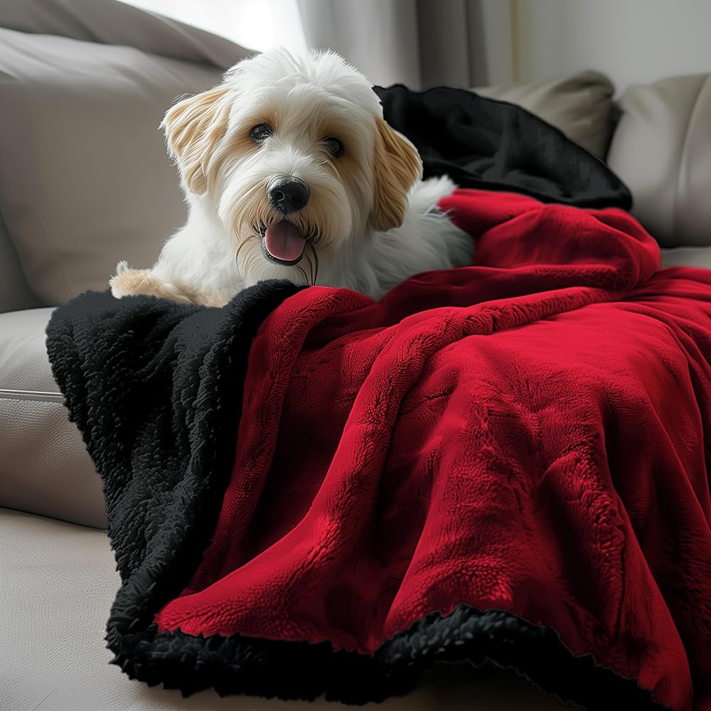 Bedding Aid Couverture imperméable avec polaire Sherpa – Double face, anti-taches et protection humide, parfaite pour l'intimité et les nuits d'amour (velours rouge/noir obsidienne, très grand lit, : Animalerie