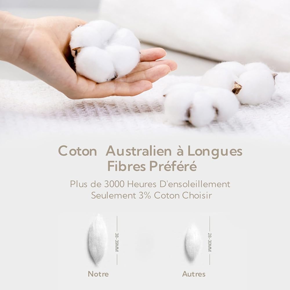 MILDLY Housse de Couette 240x260 Coton, 100% Coton Lavé Parure Housse Couette, Certifié Oeko-TEX, Chameau Beige Parure de Lit 240x260 Coton avec Fermeture Éclair avec 2 Taie d'oreiller 65x65 cm : Cuisine et Maison