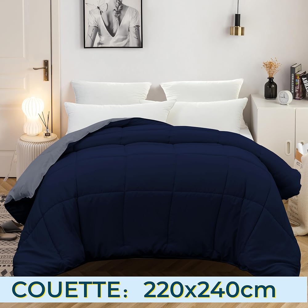 MOHAP Couette Bicolore 4 Saisons Couette d'été Légère 450g/m² 220x240cm Hypoallergénique Bicolore Bleu Foncé + Gris Foncé Couette de Lit Réversible 2 Personnes Edredon : Cuisine et Maison