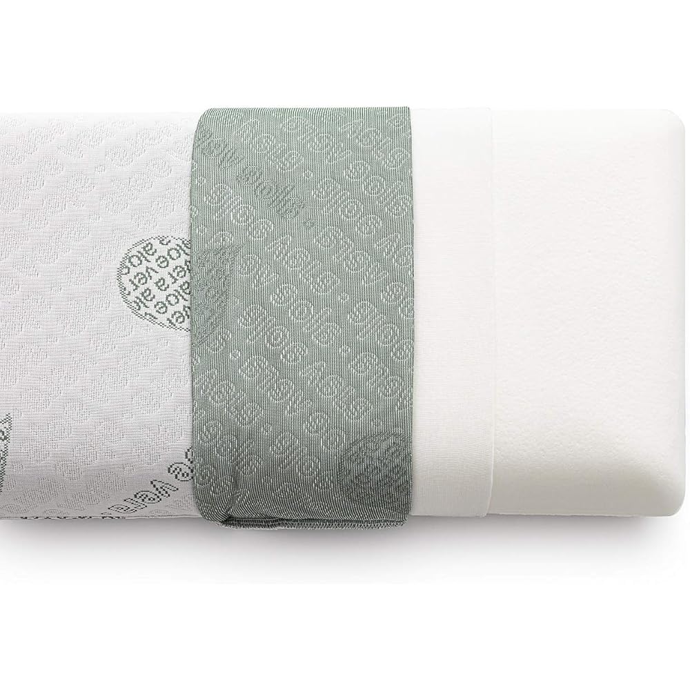 Textilhome - Lot de 2 Oreiller en Mousse Viscoélastique -70 cm (Mousse à Mémoire de Forme) - Tissu écologique Aloe Vera - Housse à Double Fermeture éclair. Adaptatif thermorégulé. : Cuisine et Maison