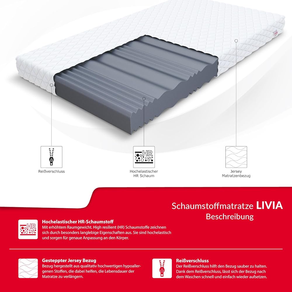 FDM Comfort Plus Matelas 140x200 cm Mousse à Mémoire de Forme Épaisseur 10 cm Fermeté H3 Matelas à Deux Faces 7 Zones de Confort Housse Lavable Oeko-TEX Hypoallergénique : Cuisine et Maison