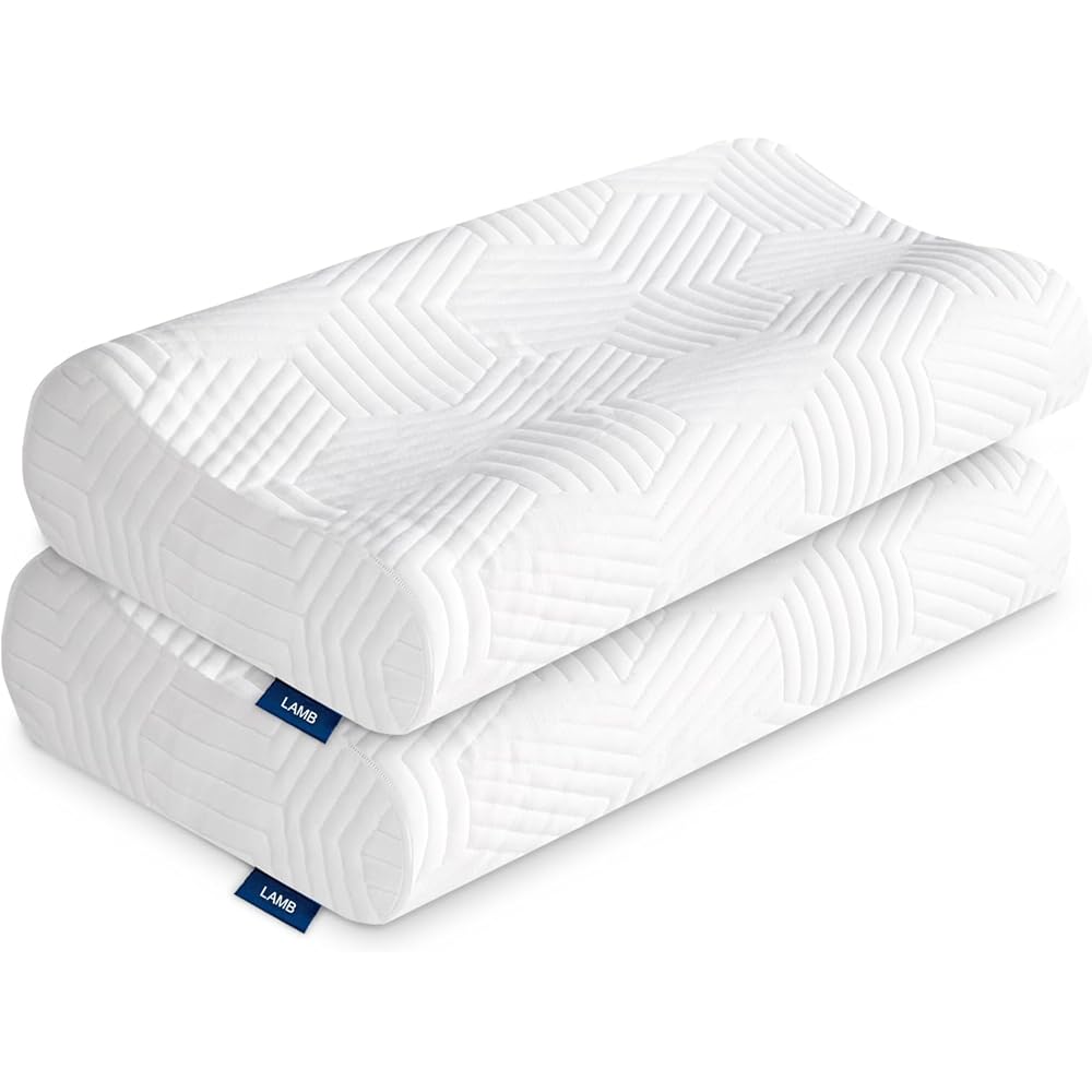 Lot de 2 oreillers en Mousse à mémoire de Forme réglable en Hauteur - Ergonomique - Coussin de Soutien de la Nuque - Amovible et Lavable - Convient pour Le Dos et Le côté : Cuisine et Maison