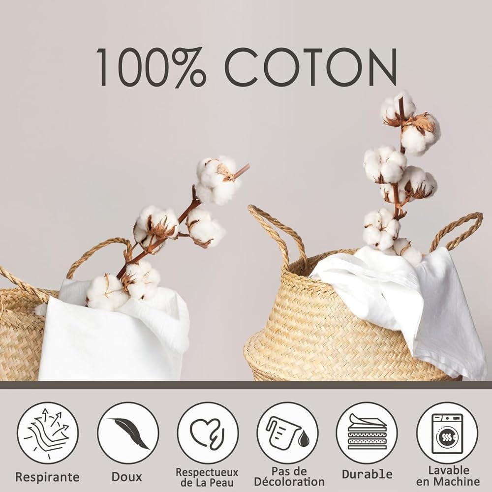 Parure de Lit 100% Coton 240x260 cm, Housse de Couette Lion Rose, Ensemble de Literie À Imprimé Floral Animalier, Literie sur Le Thème de La Nature, pour Enfants Jeunes Adultes, Ultra Doux : Cuisine et Maison