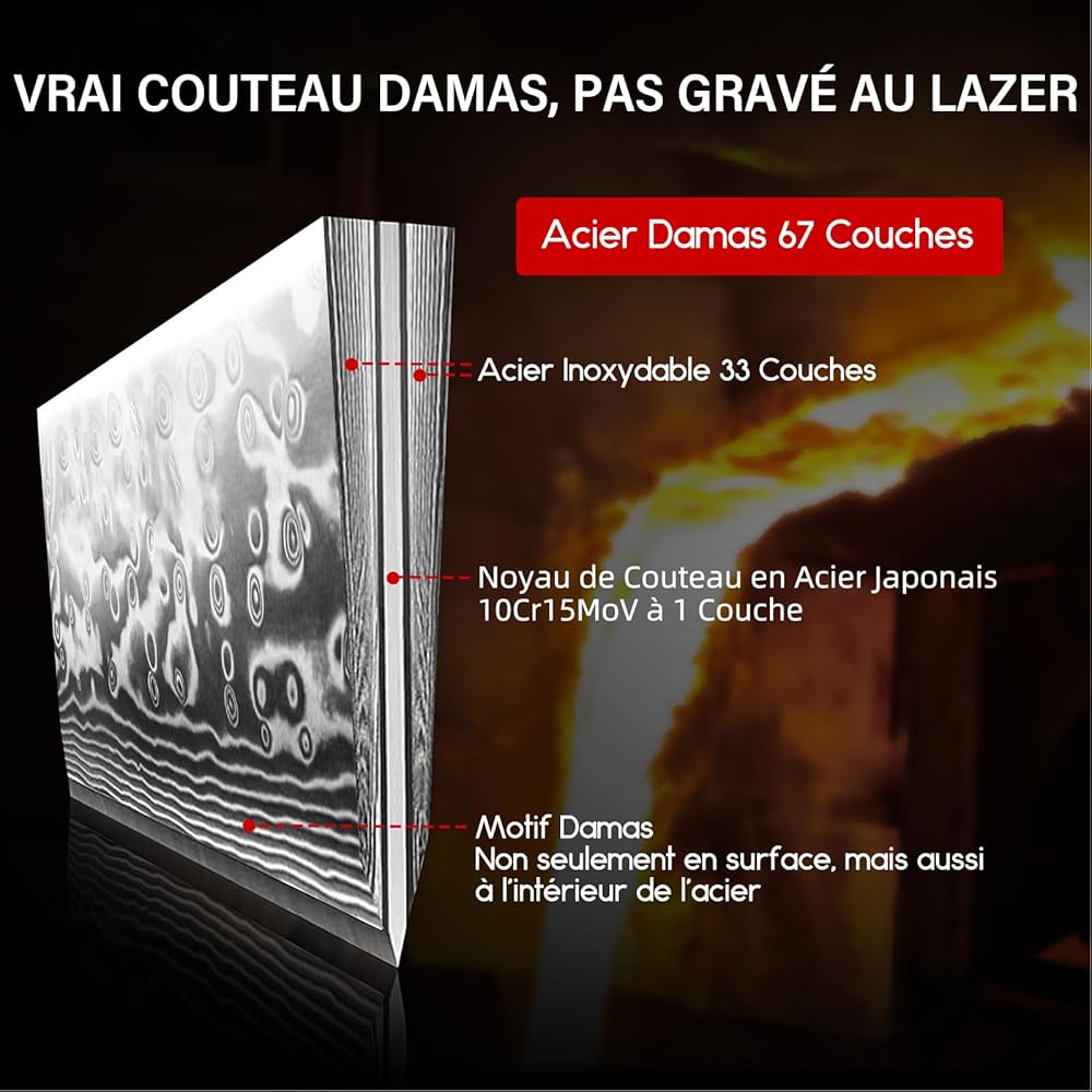 SHAN ZU Couteau Japonais de Chef 20cm, Couteau Damas en Acier Japonais 67 Couches Super Tranchant, Poignée G10 - PRO Series : Cuisine et Maison