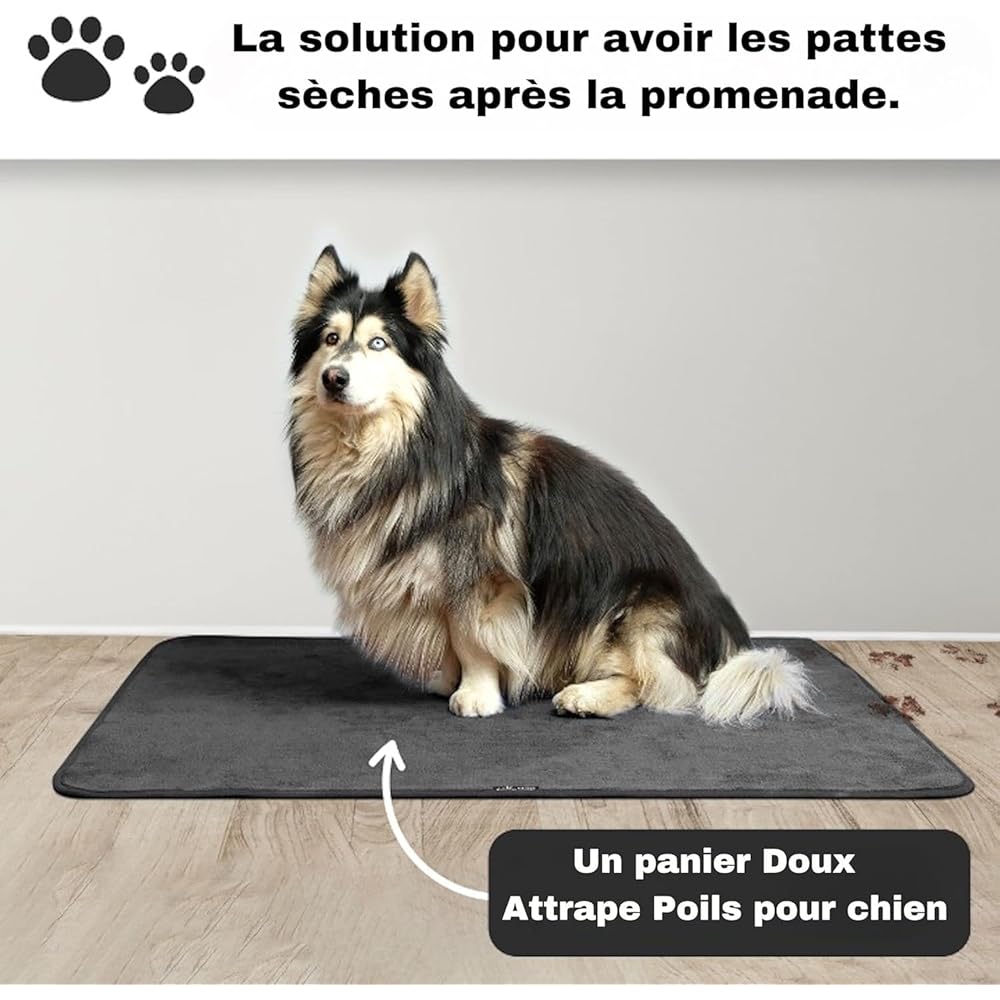 Aladino il tappeto Magico® - L'Original Tapis d'Entrée Extérieur et Intérieur, Tapis Antidérapant et Lavable en Machine, Tapis Ultra Absorbant, Tapis de Bain,Paillasson Maison et Cuisine,Made In Italy : Cuisine et Maison