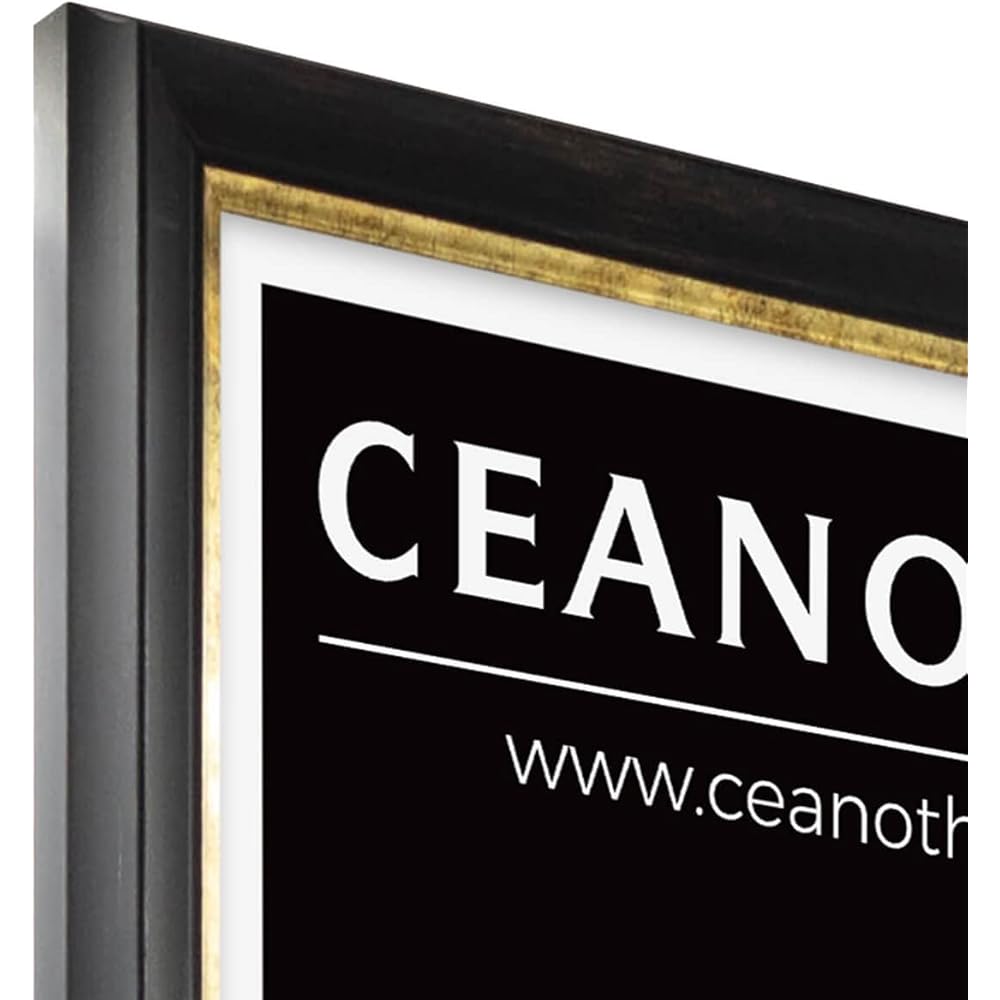 Ceanothe Cadre Photo 60x80 cm Noir Finition Doré Convient au A2 et Affiche Poster Style Baroque Elegant Noble Collection Pandore en Bois FSC Verre Acrylique Incassable Fabriqué en France : Cuisine et Maison