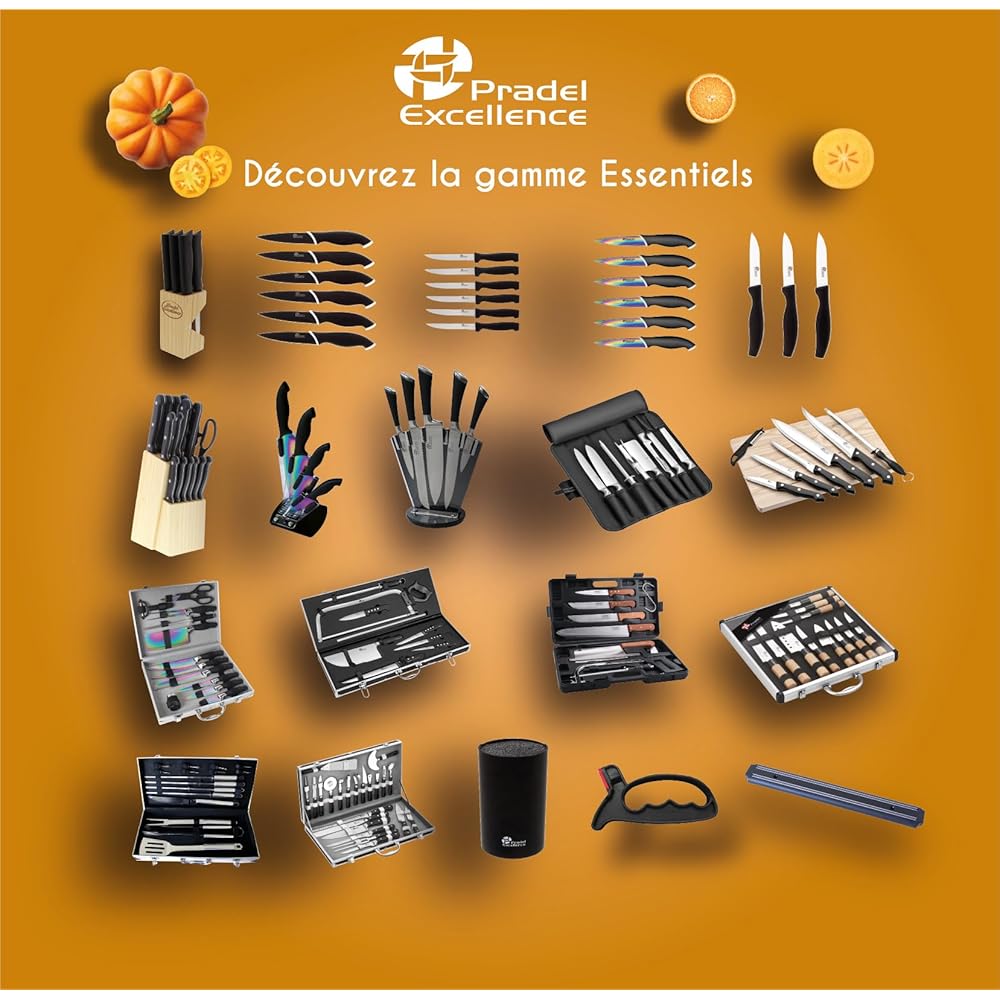 Pradel Excellence - Malette Coutellerie Essentiels 12 Pièces - 8 Couteaux + 1 Fusil d’Affûtage + 1 Fourchette + 1 Paire de Ciseaux + 1 Salière - Acier 3CR14, Revêtement Titane - Boîte Couleur : Cuisine et Maison