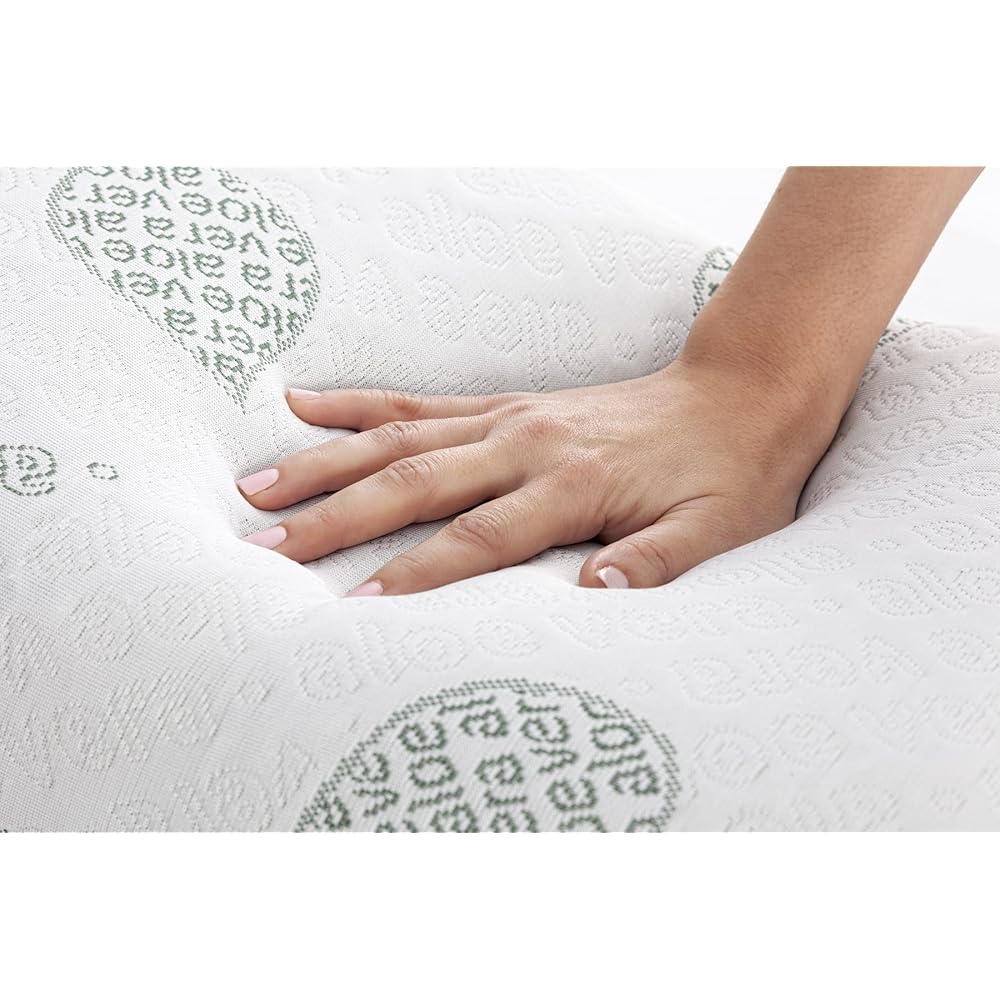 Textilhome - Lot de 2 Oreiller en Mousse Viscoélastique -70 cm (Mousse à Mémoire de Forme) - Tissu écologique Aloe Vera - Housse à Double Fermeture éclair. Adaptatif thermorégulé. : Cuisine et Maison