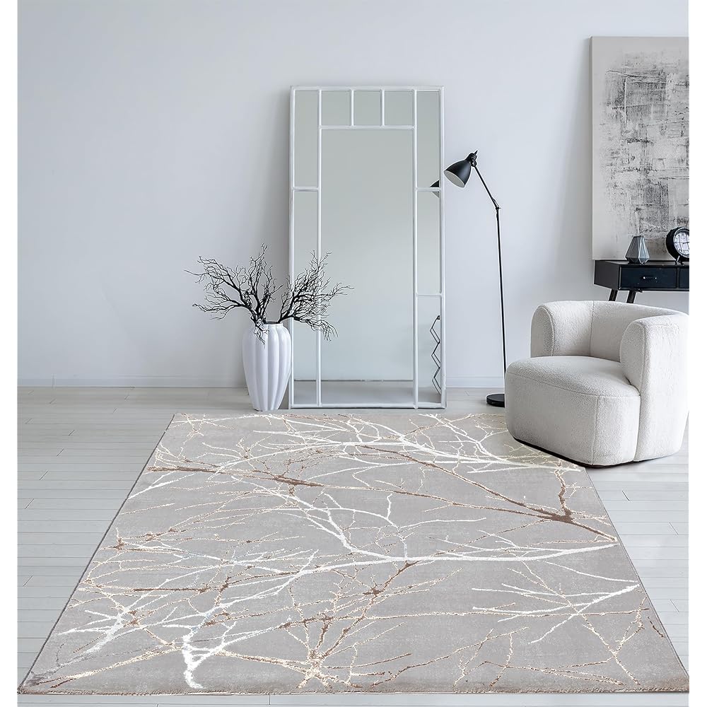 Mia's Teppiche Cielo Tapis Moderne à Poils Courts, Salon, Chambre à Coucher, Brillance Élégante, Fibre Brillante, Effet Haut-Bas, Plume,Gris,120 x 170 cm : Cuisine et Maison