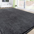 RTBQJ-AT Tapis en microfibre moelleuse et lavable pour salon et chambre à coucher - Gris uni - Taille XL - 200 x 300 cm : Cuisine et Maison