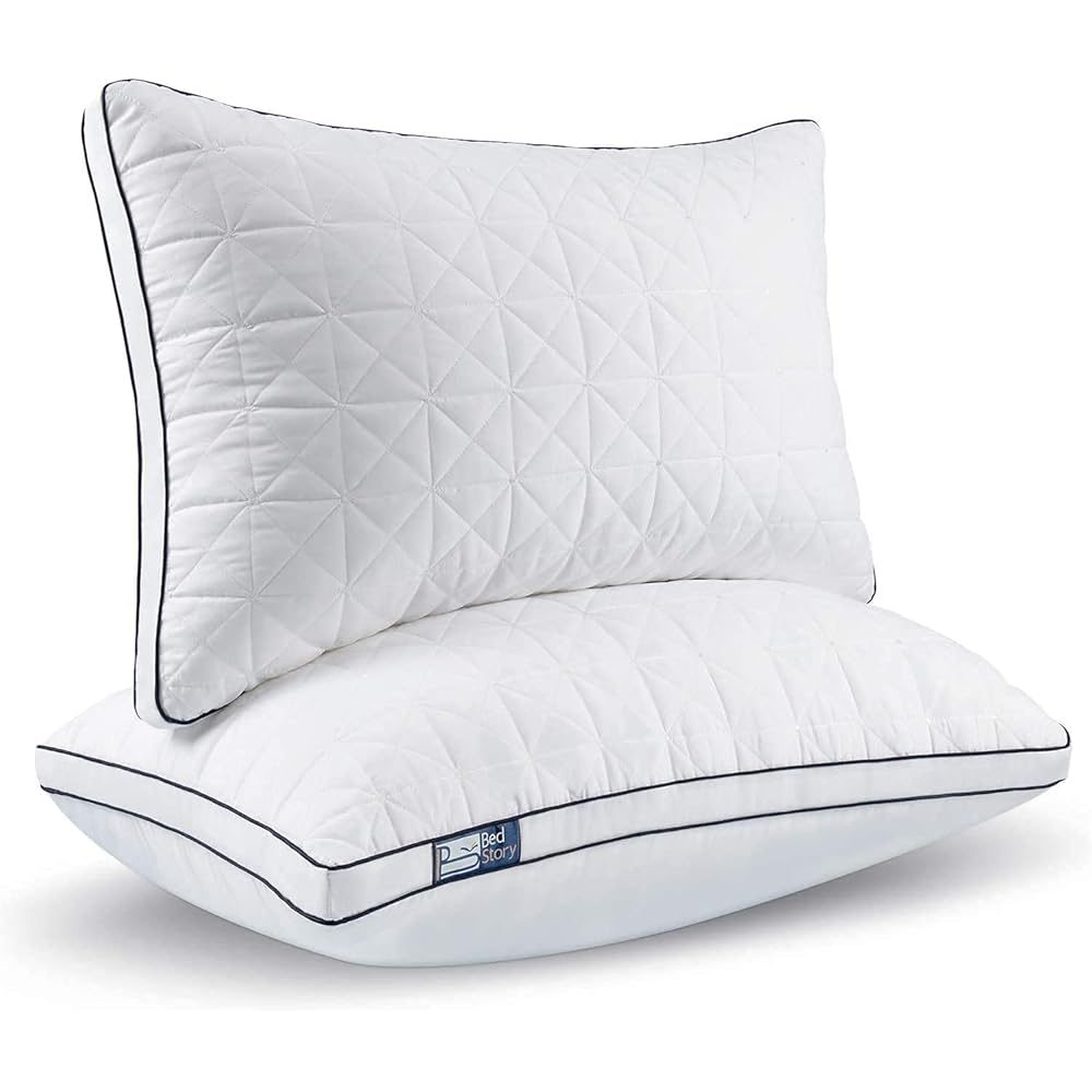 BedStory Lot de 2 Coussins Rectangulaires 42 x 70 cm, Coussins de Lit Doux en Microfibre et Polyester, Oreillers Mémoire de Lit, Anti-acariens et Hypoallergénique : Jardin